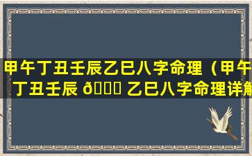 甲午丁丑壬辰乙巳八字命理（甲午丁丑壬辰 🐕 乙巳八字命理详解）